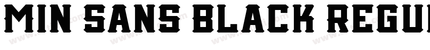 Min Sans Black Regul字体转换